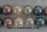 CSB1094 15.5 inches 12mm round mixed color shell pearl beads