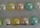 CSB1098 15.5 inches 12mm round mixed color shell pearl beads