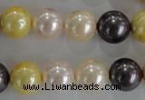 CSB1101 15.5 inches 12mm round mixed color shell pearl beads