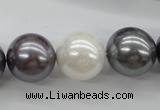 CSB1150 15.5 inches 16mm round mixed color shell pearl beads