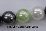 CSB1152 15.5 inches 16mm round mixed color shell pearl beads