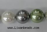 CSB1153 15.5 inches 16mm round mixed color shell pearl beads