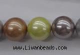 CSB1155 15.5 inches 16mm round mixed color shell pearl beads