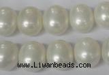 CSB136 15.5 inches 12*15mm – 13*16mm oval shell pearl beads