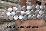 CSB2136 15.5 inches 10mm coin shell pearl beads wholesale