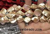 CSB2162 15.5 inches 16*16mm - 18*20mm baroque shell pearl beads