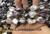 CSB2167 15.5 inches 16*16mm - 18*20mm baroque mixed shell pearl beads