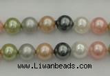 CSB310 15.5 inches 8mm round mixed color shell pearl beads