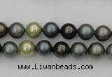 CSB316 15.5 inches 8mm round mixed color shell pearl beads