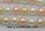 CSB320 15.5 inches 10mm round mixed color shell pearl beads