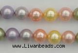 CSB330 15.5 inches 10mm round mixed color shell pearl beads