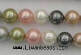 CSB331 15.5 inches 10mm round mixed color shell pearl beads