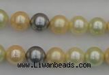 CSB333 15.5 inches 10mm round mixed color shell pearl beads