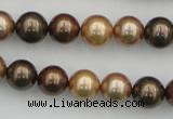 CSB342 15.5 inches 10mm round mixed color shell pearl beads