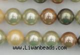 CSB359 15.5 inches 12mm round mixed color shell pearl beads