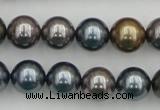 CSB366 15.5 inches 12mm round mixed color shell pearl beads