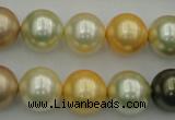 CSB374 15.5 inches 14mm round mixed color shell pearl beads