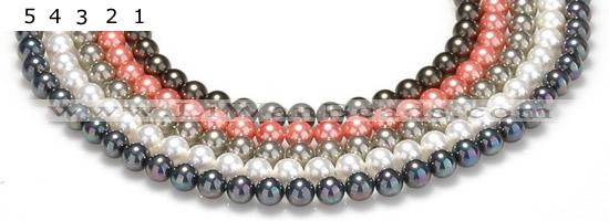 CSB38 16 inches 10mm round shell pearl beads Wholesale