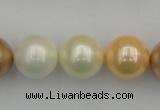 CSB392 15.5 inches 16mm round mixed color shell pearl beads