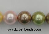 CSB393 15.5 inches 16mm round mixed color shell pearl beads