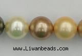 CSB394 15.5 inches 16mm round mixed color shell pearl beads