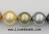 CSB395 15.5 inches 16mm round mixed color shell pearl beads