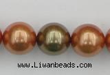 CSB397 15.5 inches 16mm round mixed color shell pearl beads