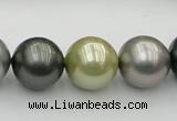 CSB398 15.5 inches 16mm round mixed color shell pearl beads