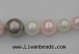 CSB406 15.5 inches 8mm - 16mm round mixed color shell pearl beads