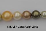 CSB407 15.5 inches 8mm - 16mm round mixed color shell pearl beads