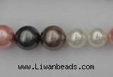 CSB408 15.5 inches 8mm - 16mm round mixed color shell pearl beads