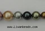 CSB409 15.5 inches 8mm - 16mm round mixed color shell pearl beads