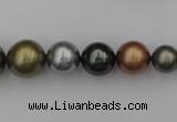 CSB410 15.5 inches 8mm - 16mm round mixed color shell pearl beads