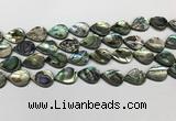 CSB4137 15.5 inches 12*16mm flat teardrop abalone shell beads