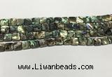 CSB4143 15.5 inches 8*8mm square abalone shell beads wholesale