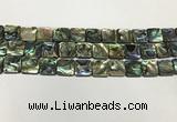 CSB4145 15.5 inches 12*12mm square abalone shell beads wholesale