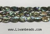 CSB4164 15.5 inches 18*25mm flat drum abalone shell beads wholesale