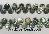 CSB4184 Top drilled 15*20mm flat teardrop balone shell beads