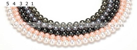 CSB43 16 inches 10mm round shell pearl beads Wholesale