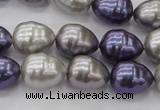 CSB551 15.5 inches 12*15mm whorl teardrop mixed color shell pearl beads