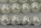 CSB620 15.5 inches 14mm whorl round shell pearl beads