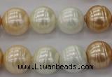 CSB624 15.5 inches 14mm whorl round mixed color shell pearl beads