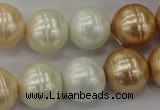 CSB636 15.5 inches 16mm whorl round mixed color shell pearl beads