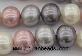 CSB694 15.5 inches 13*15mm oval mixed color shell pearl beads