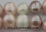 CSB713 15.5 inches 16*19mm oval mixed color shell pearl beads