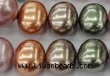 CSB716 15.5 inches 16*19mm oval mixed color shell pearl beads