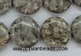 CSF01 15.5 inches 20mm flat round shell fossil jasper beads