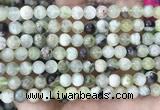 CSJ301 15.5 inches 6mm round serpentine new jade beads wholesale