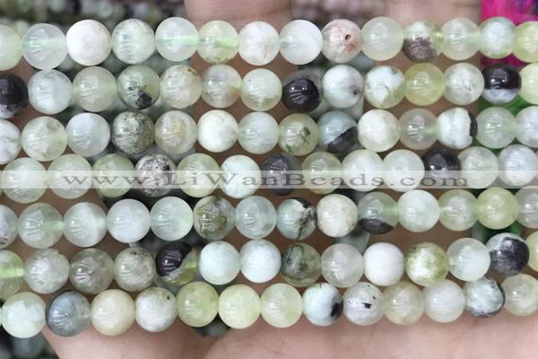 CSJ301 15.5 inches 6mm round serpentine new jade beads wholesale