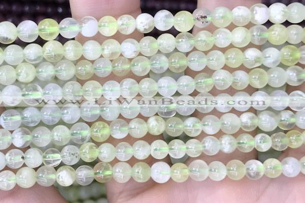 CSJ310 15.5 inches 5mm round serpentine new jade beads